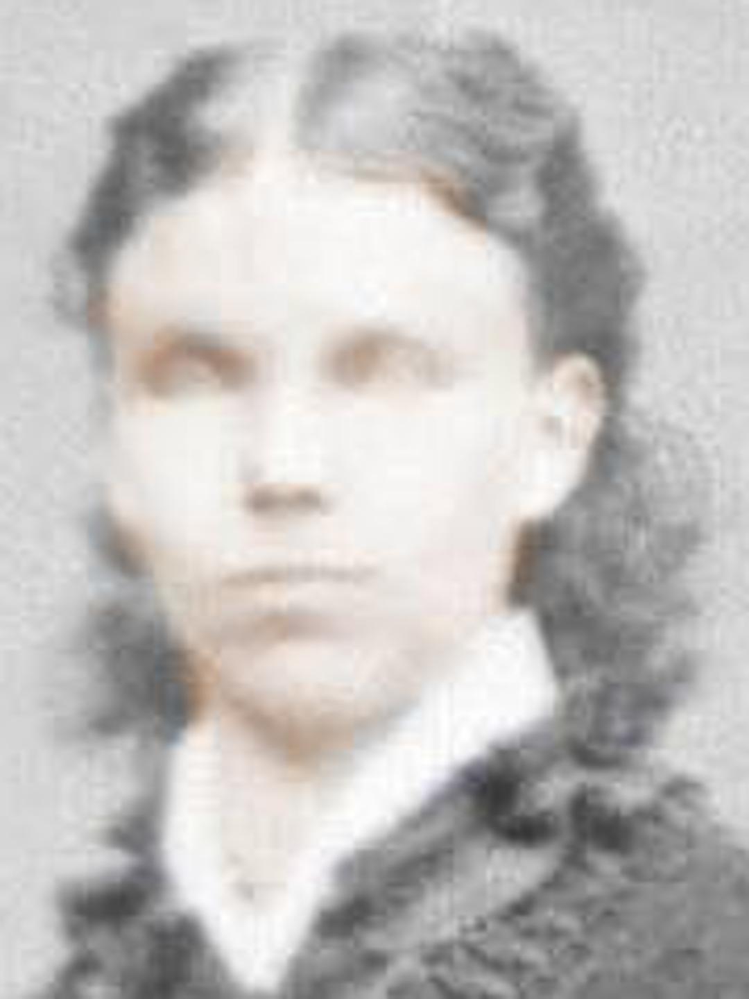 Mary Ann Littlefield (1848 - 1922)